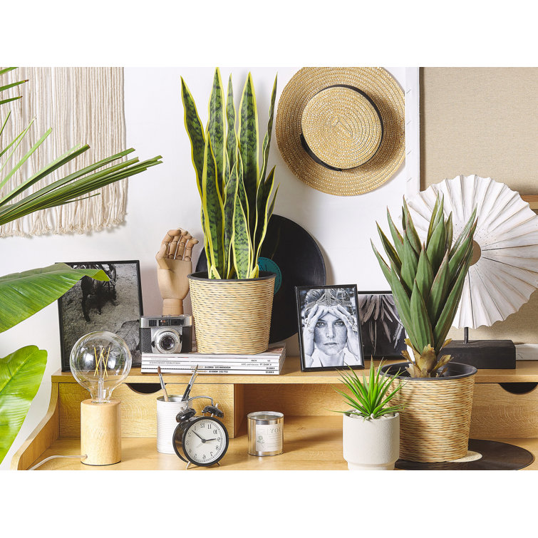 The Seasonal Aisle 63Cm Artificial Snake Plant in Pot Wayfair.co.uk